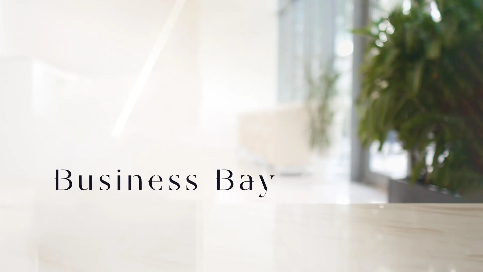 Business Bay testimonial